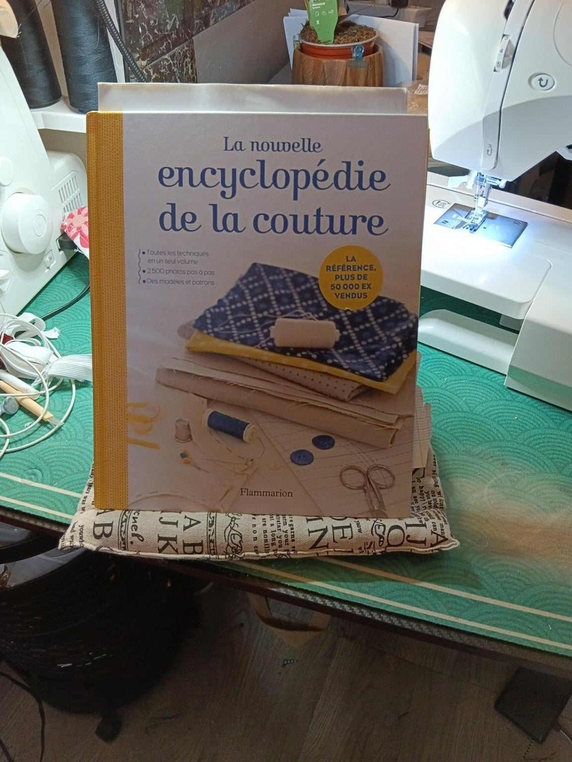Photo originale du coussin grand modèle